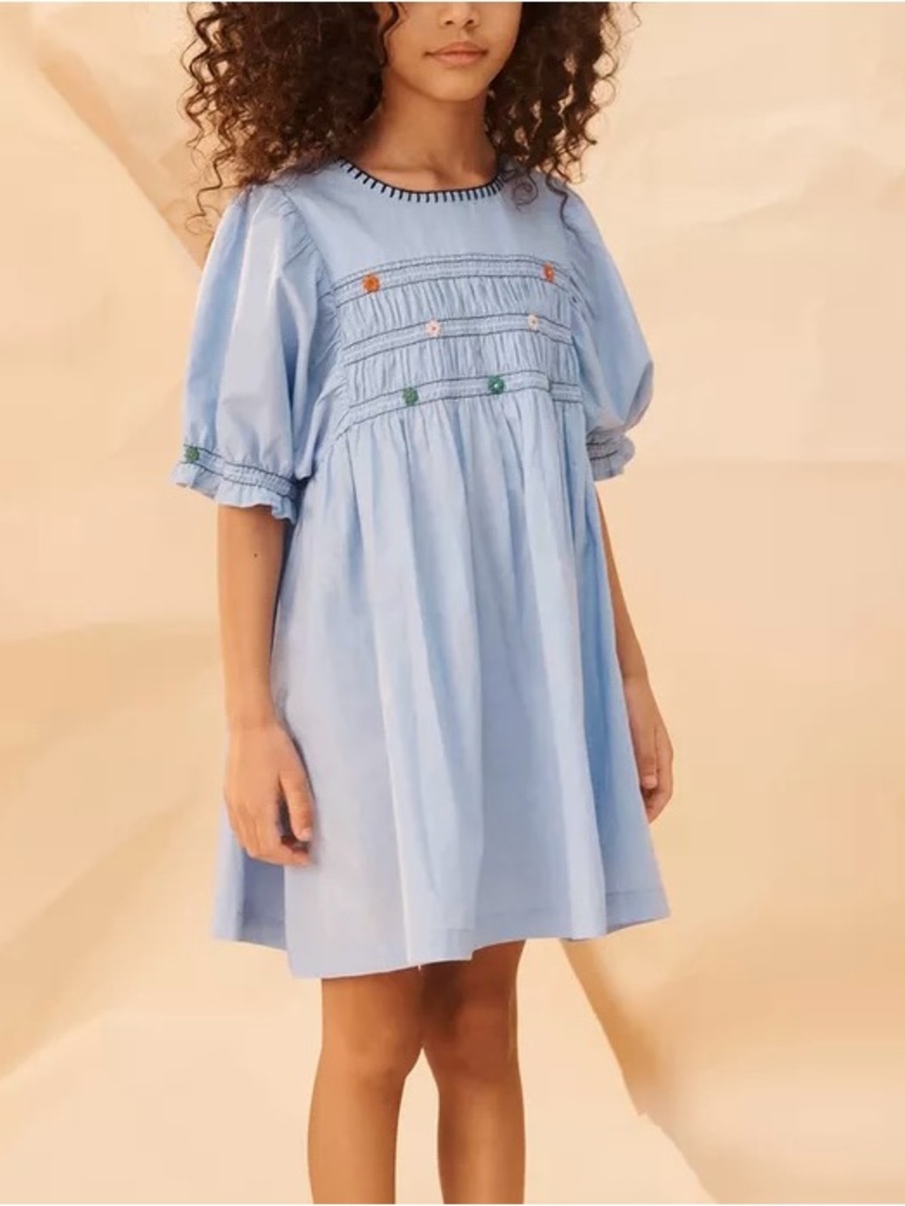 NWT Zara Studio Limited Edition embroidered floral dress